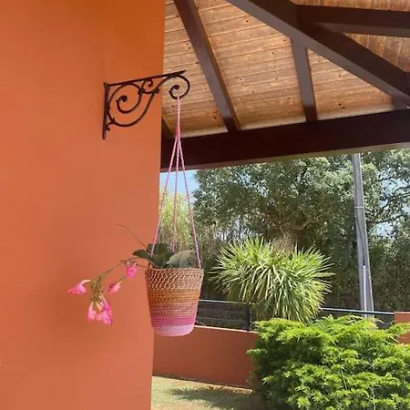 A Casa Das Minhas Netas Caldas Da Rainha Exterior photo
